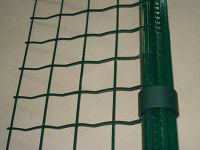 荷兰网 - 河北省安平县东山网业有限公司图片3