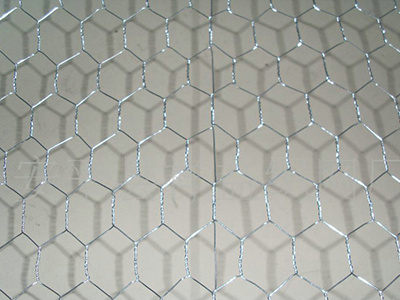 六角网 - 河北省安平县东山网业有限公司图片2