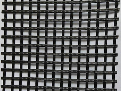 土工格栅 - 河北省安平县东山网业有限公司图片2