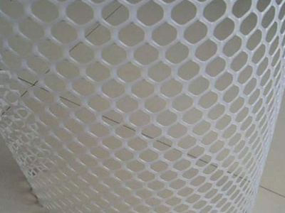 塑料网 - 河北省安平县东山网业有限公司图片3